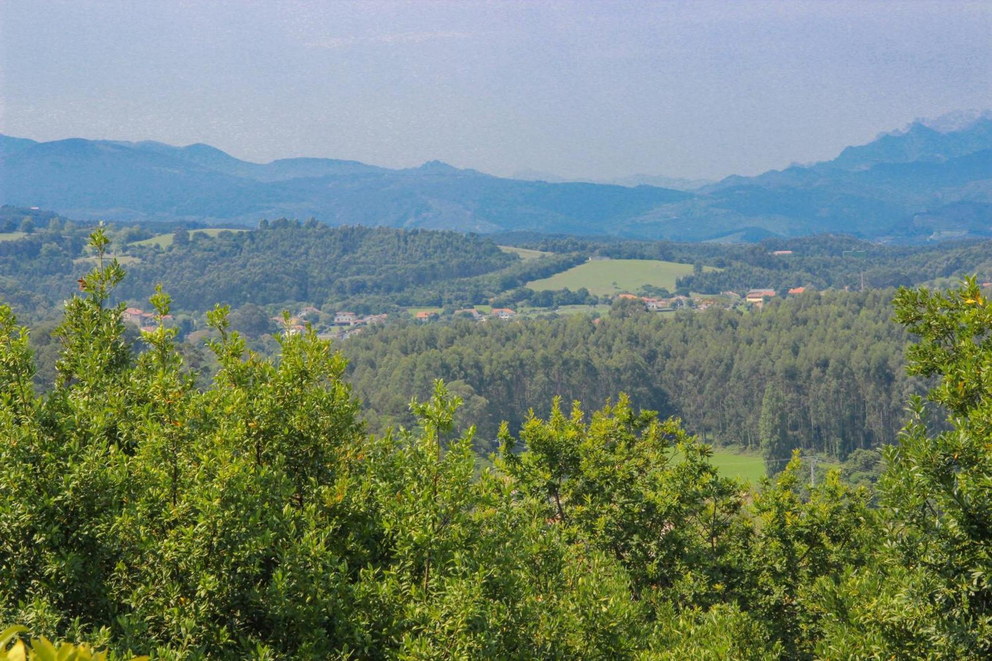 הוילה Sierra  El Collado, Ruiloba מראה חיצוני תמונה