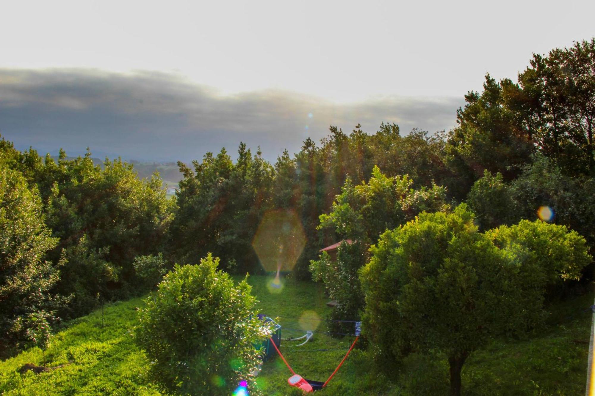 הוילה Sierra  El Collado, Ruiloba מראה חיצוני תמונה